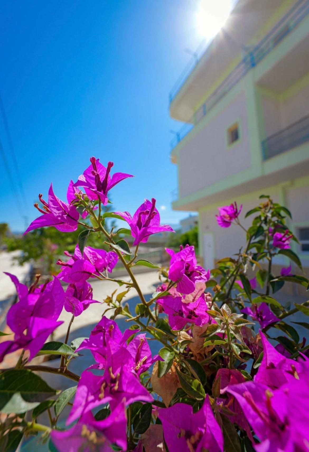 Sunflower Hotel Ксамил Екстериор снимка